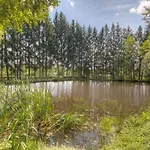 Pour 6 Avec Terrasse - La Chapelle-devant-bruyeres - Api-1-52-972