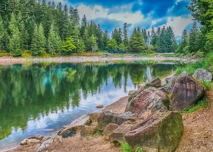 Pour 6 Avec Terrasse - La Chapelle-devant-bruyeres - Api-1-52-972 * Bruyeres