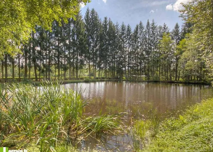 Pour 6 Avec Terrasse - La Chapelle-devant-bruyeres - Api-1-52-972